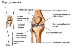 Травма коленного сустава: причины и симптомы